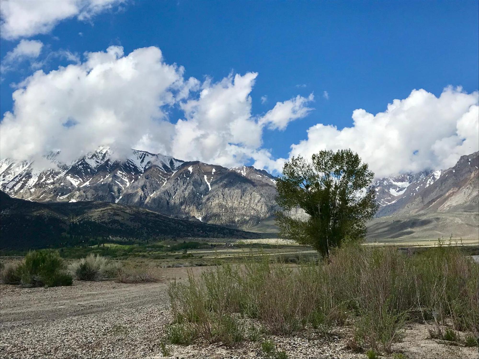 Villa Mountainback #73, Den Mammoth Lakes Exterior foto